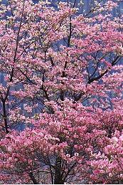 《后室 Break》体验版Steam上线 第一人称动作射击